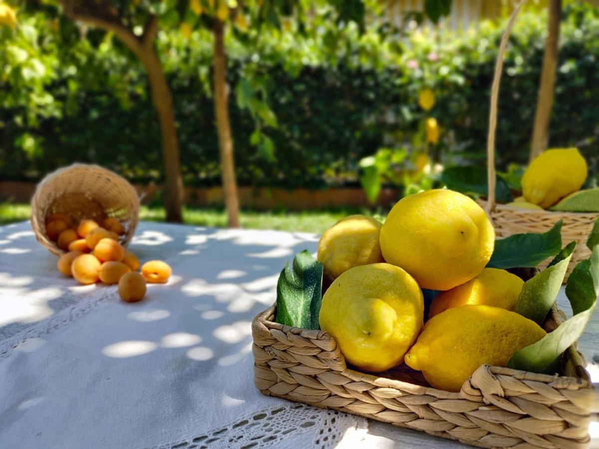 Casa Amorino Minori Zewnętrze zdjęcie